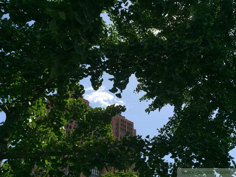 無(wú)邊框的 nubia Z9 ，一款既有驚喜，又有驚艷的智能手機(jī)