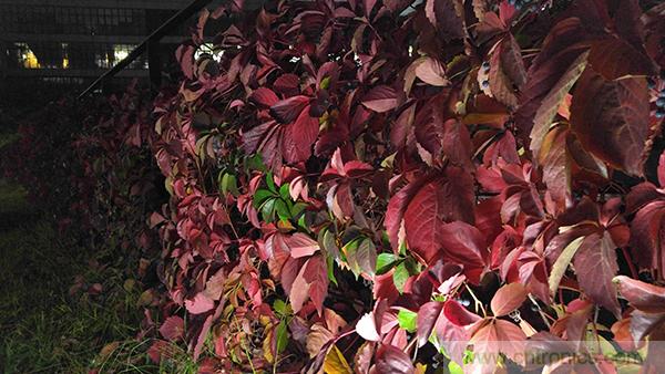 業(yè)界良心 LG V10 評測:剛毅、冷峻，不失人性化