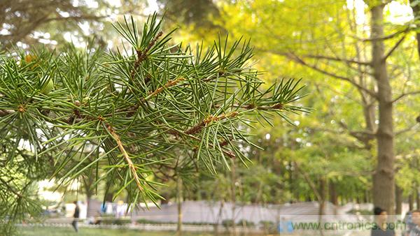 業(yè)界良心 LG V10 評測:剛毅、冷峻，不失人性化