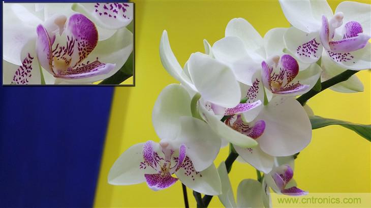 三星S6 edge+評測：擊退note 5，帶著雙曲屏卷土重來