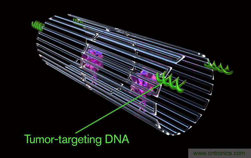 中美科學(xué)家聯(lián)手，用DNA納米機器人殺死癌細胞