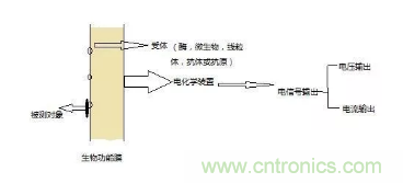仿生傳感器的定義、原理、分類及應(yīng)用