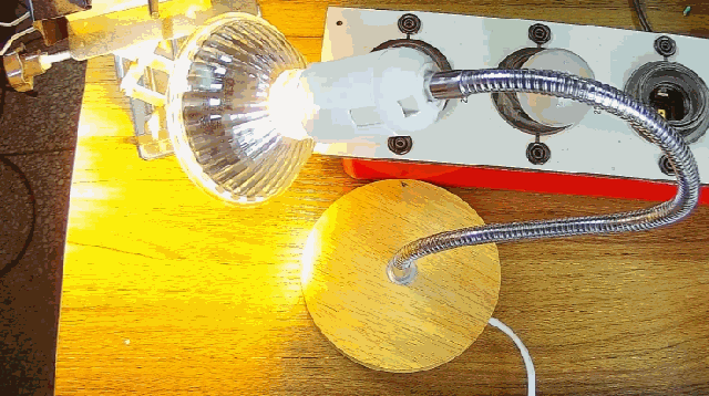 電燈泡內(nèi)通有交流電，為什么看不到燈泡在閃爍？