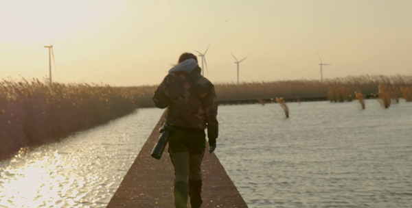 世界濕地日：?？低晹y手一個(gè)地球自然基金會(huì)，在上海守護(hù)這個(gè)重要“驛站”