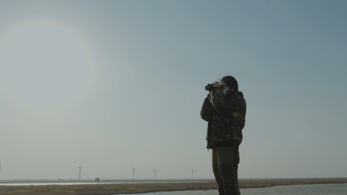 世界濕地日：?？低晹y手一個(gè)地球自然基金會(huì)，在上海守護(hù)這個(gè)重要“驛站”