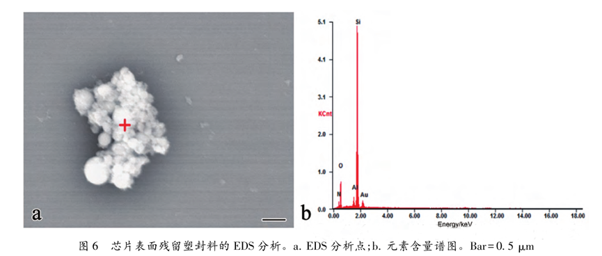 超聲波清洗暗藏"芯片密碼"：二氧化硅顆粒撞擊機(jī)理揭秘